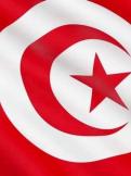  انتخاب تونس عضوا في مجلس السلم والأمن التابع للاتحاد الإفريقي 